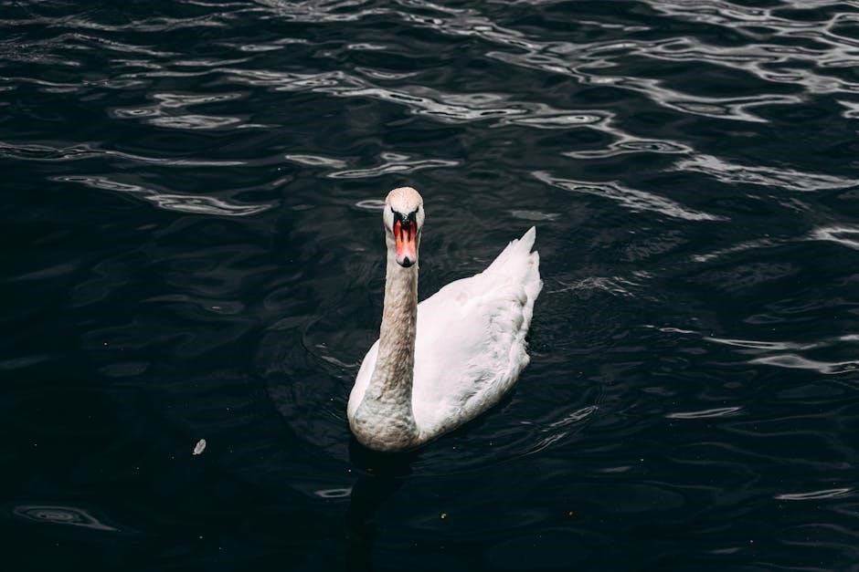a swim in the pond in the rain pdf